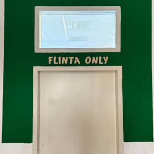 The picture shows a closed door with the words ‘Flinta only’ above it